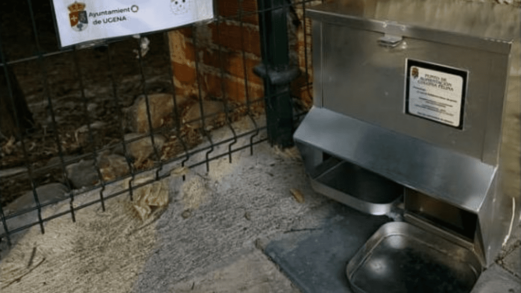 Ugena instala comederos en colonias felinas controladas