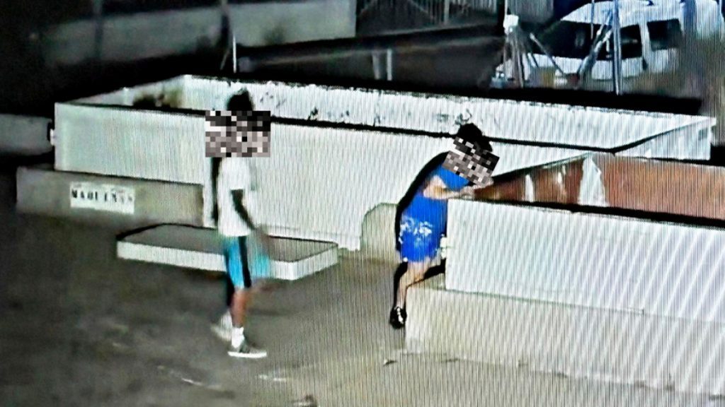 Cazados en pleno robo en Seseña