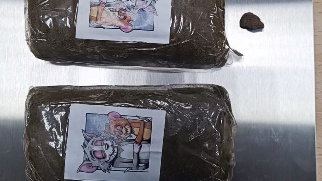 Detenidos dos indiduos en Seseña e incautados 200 gramos de hachís en varias actuaciones policiales