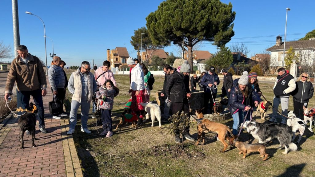 Las Ventas de Retamosa despide el año paseando con sus mascotas en la San Perrestre