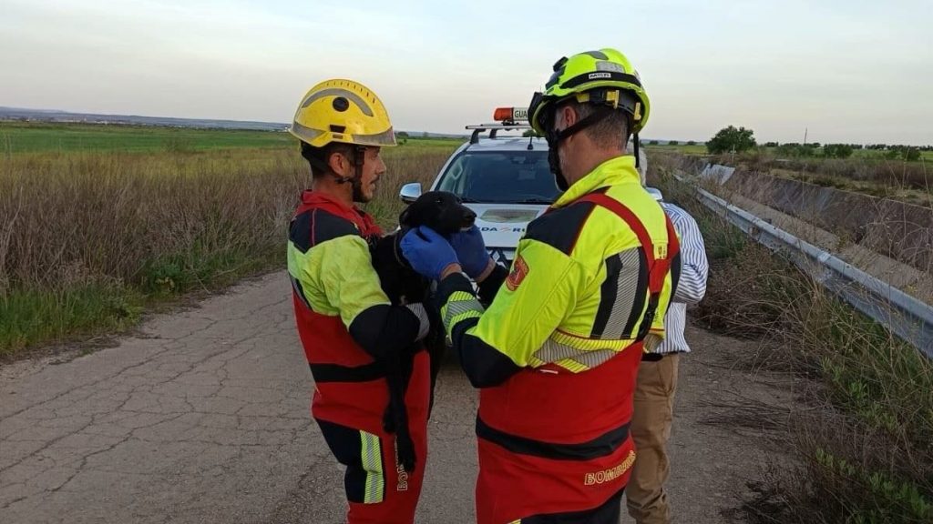Bomberos rescatan a un perro que cayó a un canal en Olías del Rey