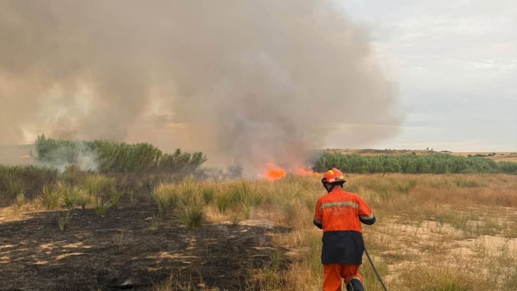Un incendio forestal moviliza a varios efectivos en Casarrubios del Monte